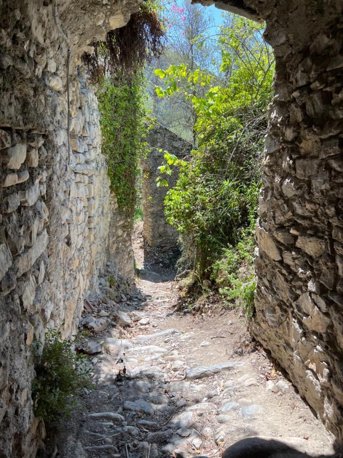 Mon Reve Villa Breil-sur-Roya Dış mekan fotoğraf